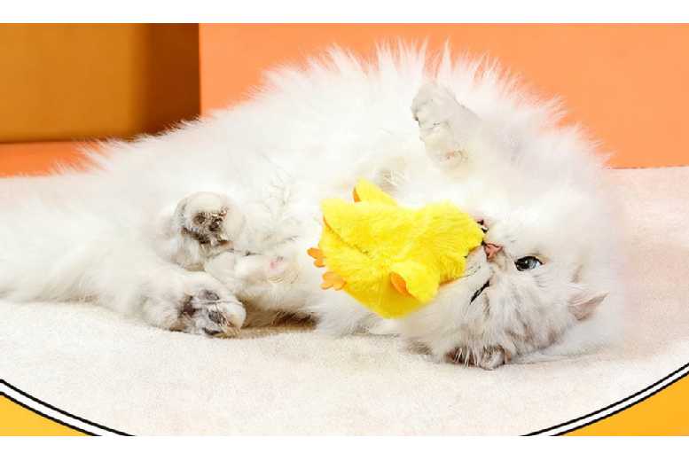 Electric Interactive Cat Toy – Motion-Activated Plush Duck, Durable Chew-Resistant, USB Rechargeable | Wowcher Electric Interactive Cat Toy – Motion-Activated Plush Duck, Durable Chew-Resistant, USB Rechargeable | Wowcher
