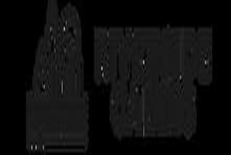 Riverside Cabins, Shrewsbury Hot Tub Retreat for 4 or 6 – Canoe & Paddle Board Access | Wowcher