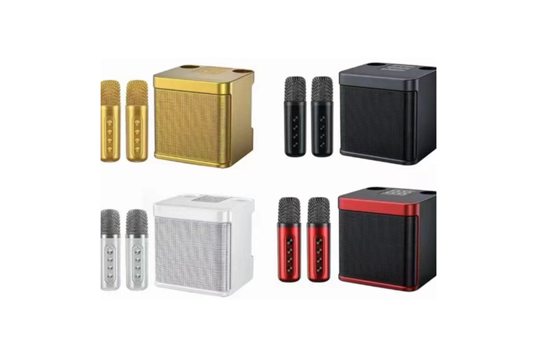 Wireless Bluetooth Speaker with Dual Wireless Microphones – Portable Karaoke Audio System | Wowcher