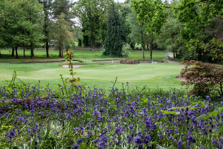 18 Holes of Golf at Scotland’s Best Golf Club 2024, Tulliallan Golf Course | Wowcher 18 Holes of Golf at Scotland’s Best Golf Club 2024, Tulliallan Golf Course | Wowcher