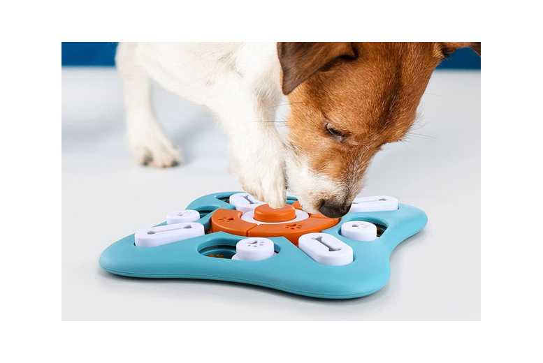 Interactive Dog Puzzle Slow Feeder Toy – Mental Stimulation for All Breeds | Wowcher Interactive Dog Puzzle Slow Feeder Toy – Mental Stimulation for All Breeds | Wowcher
