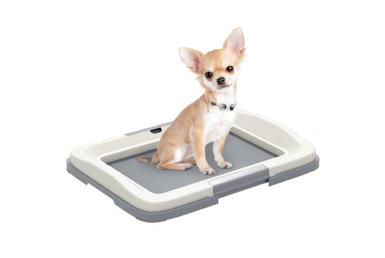 PawHut Dog Training Toilet Tray – Non-Slip, Easy-Clean, Small Breeds, Indoor/Outdoor | Wowcher