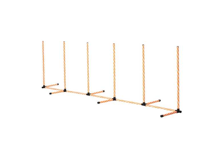 PawHut Dog Agility Weave Poles Training Set with Carry Bag – Adjustable, Portable, All Breeds | Wowcher PawHut Dog Agility Weave Poles Training Set with Carry Bag – Adjustable, Portable, All Breeds | Wowcher