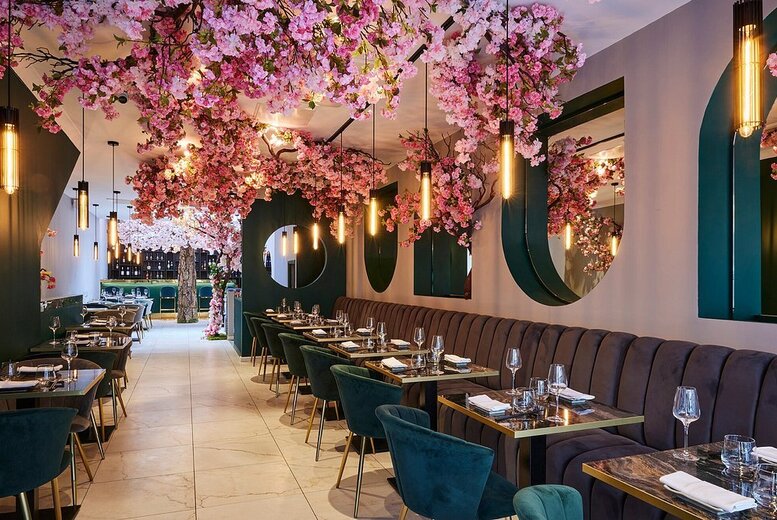 4-Course Japanese Dining Experience with Beer or Wine for up to 4 Persons – Oxford St & Fitzrovia at Doumo | Wowcher