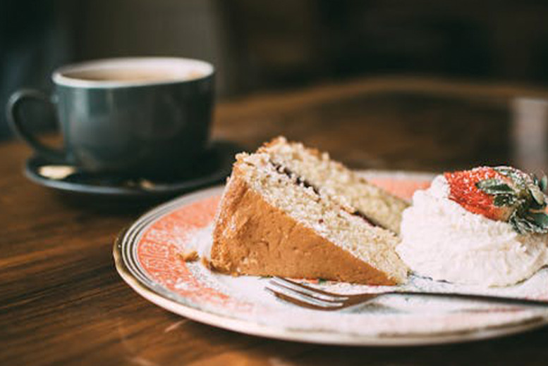 Unforgettable 1-Hour Alpaca Trek in Yorkshire with Optional Tea & Cake | Wowcher