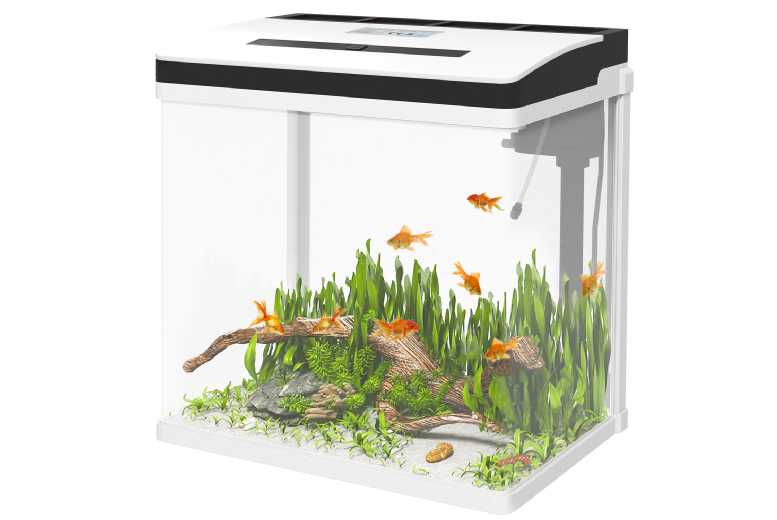 28L Glass Aquarium Fish Tank with LED & Filter - Easy Clean, Spacious, Crystal-Clear View | Wowcher