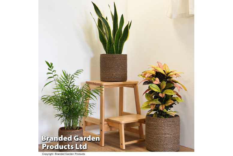 3 Pack Chia Seagrass Planter Baskets - Sustainable Indoor/Outdoor Plant Holders | Wowcher