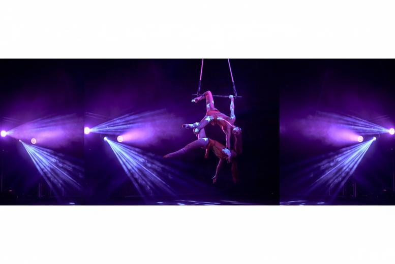 Daredevil Circus Stunt Show Ticket - April 1st - 12th April 2026 - Planet Circus, Doncaster | Wowcher