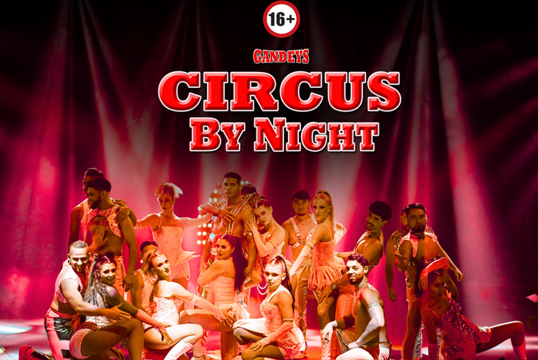 Circus By Night 2026 Adult Show Grandstand Ticket - March 6th or 13th | Wowcher