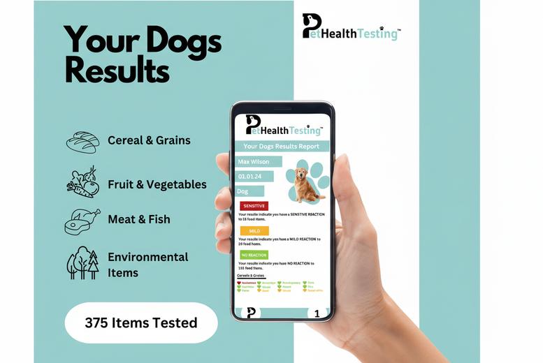 Complete Pet Sensitivity Test: Basic or Complete Options - Analyze 375 Food & Environmental Factors | Wowcher