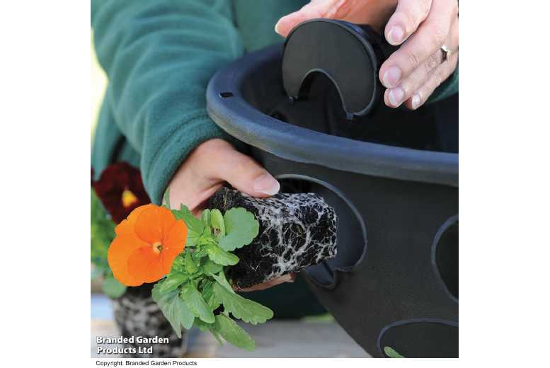 BloomAround 30cm Hanging Baskets - Weatherproof, Easy-Plant, Large-Capacity | Wowcher