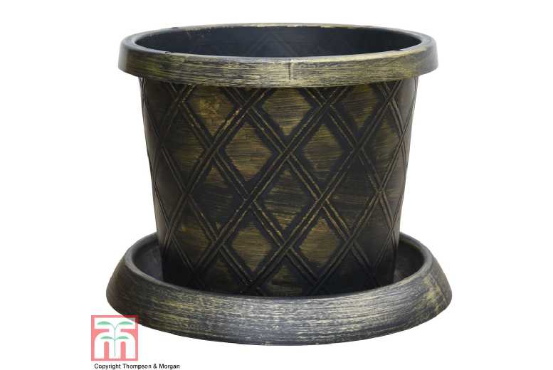 Black & Gold Patio Planter with Saucer - Large Outdoor Garden Pot | Wowcher