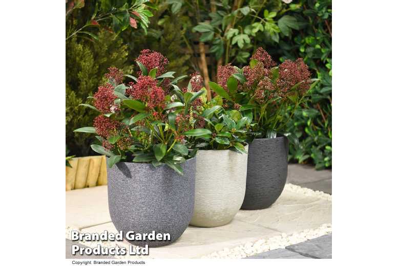 Ivory Stone Effect Garden Planter - Lightweight, Durable, Weatherproof | Wowcher