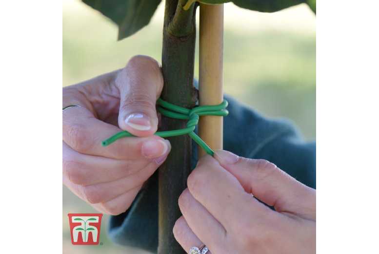Garden Essentials Soft Plant Tie - Adjustable, Gentle Support for Stems | Wowcher