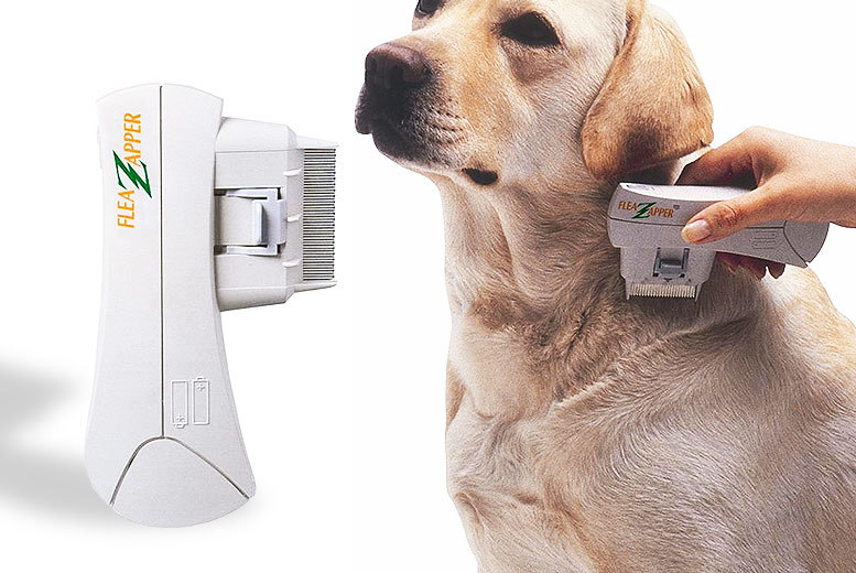flea zapper for dogs