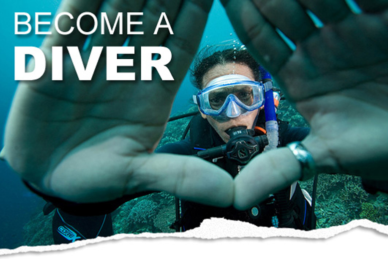 Padi open water diver. Open Water Diver Padi учебник. Padi open Water Diver сертификат как выглядит.