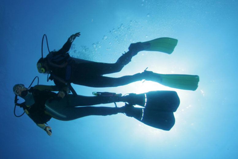 Wowcher Deal Dive Bunker/£19 for a twohour beginner indoor scuba