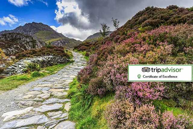 2nt Snowdonia, Breakfast, Wine & Cream Tea for 2