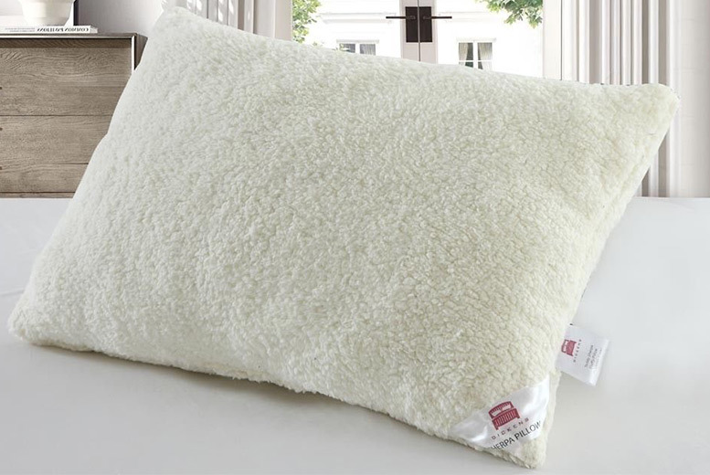 teddy bear fleece pillow