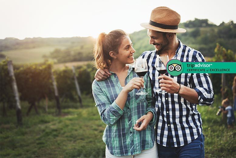 £29 instead of £79 for a vineyard tour, wine tasting and buffet lunch for two people, or £54 for four people at Carr Taylor Vineyard, Hastings – save up to 63%