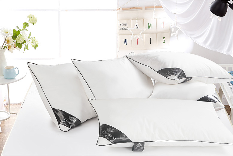 £13.99 instead of £67.99 (from Direct Warehouse LTD) for a pair of Hungarian goose feather and down pillows, £23.99 for two pairs of pillows – save up to 79%